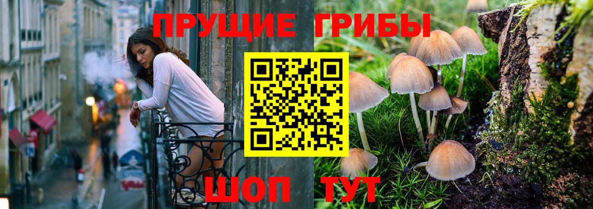 Псилоцибиновые грибы GOLDEN TEACHER Волгоград