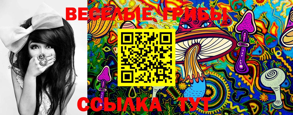 Волгоград  где купить наркоту  Галлюциногенные грибы Psilocybine cubensis  Вход с VPN  Псилоцибиновые грибы мицелий 